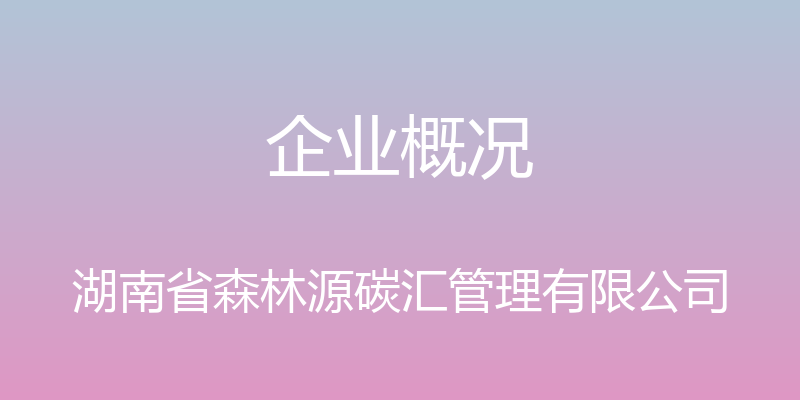 企业概况 - 湖南省森林源碳汇管理有限公司